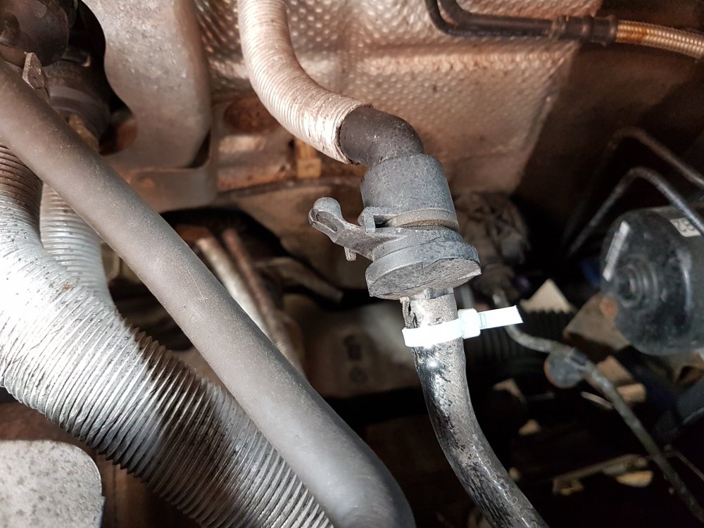 20180913_110450[1].jpg
