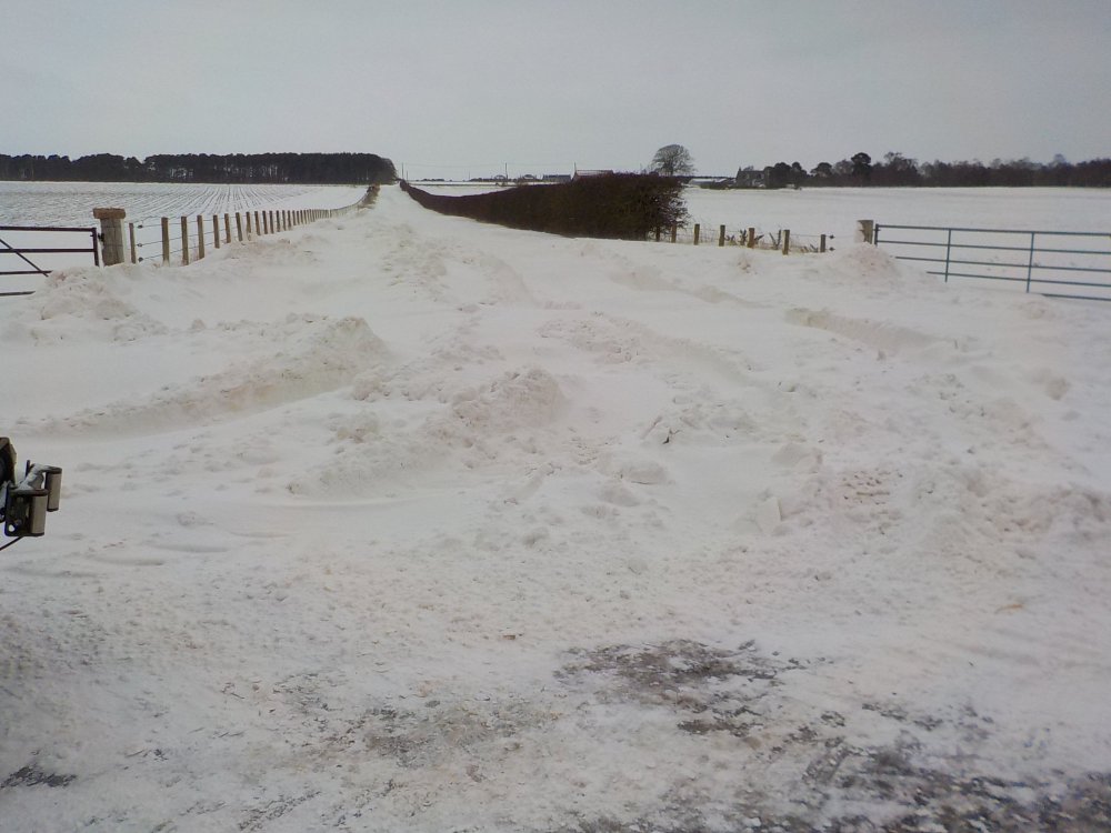 DSCN3918.JPG