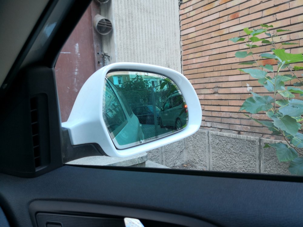 IMG_20180921_101927.jpg