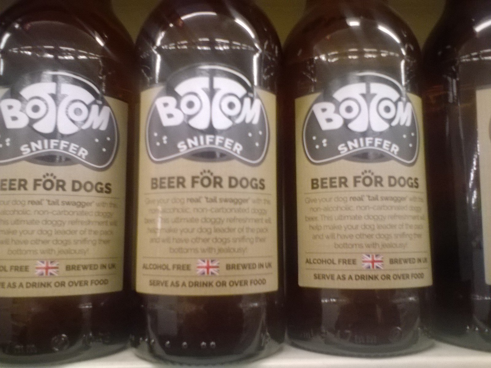 Beer for dogs Off Topic Chat BRISKODA