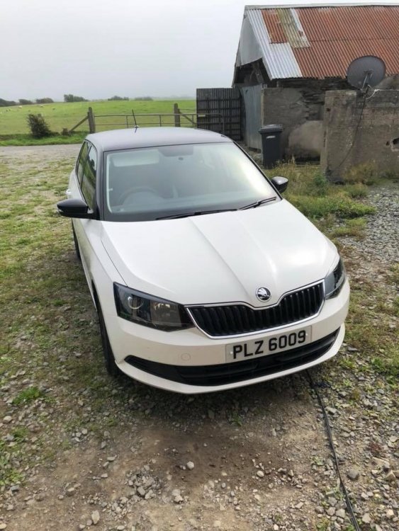 fabia.jpg