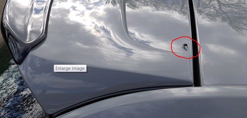 image.png.1ea098453d1594ef5ff96d6c1b0fc97d.png