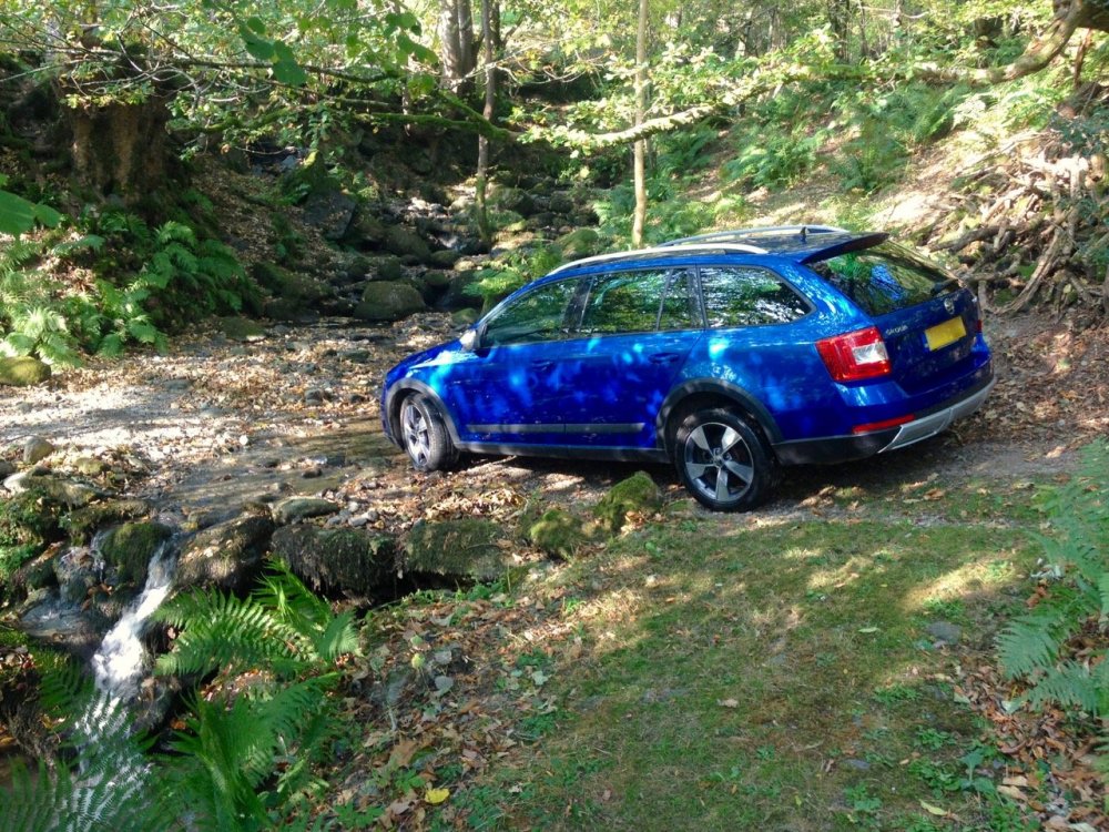 car by stream 2.jpg
