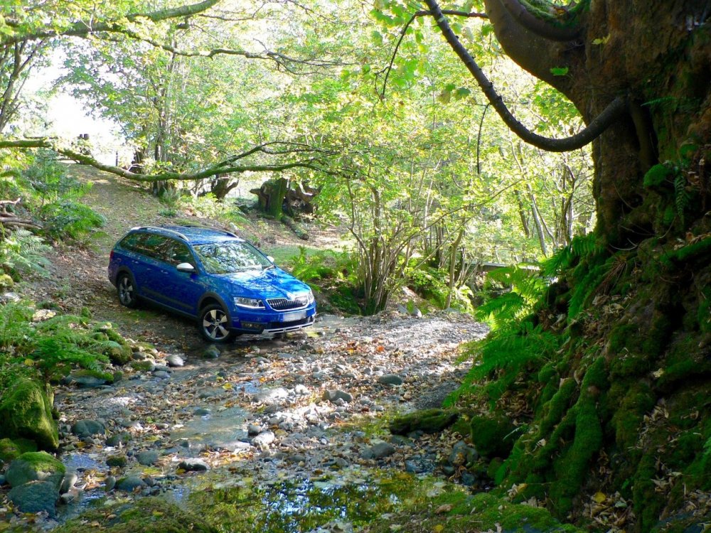 car by stream.jpg