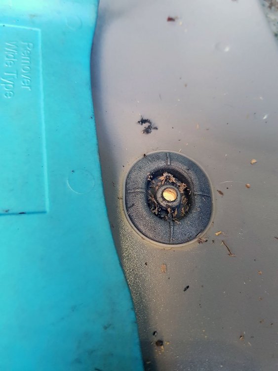 20181006_163718.jpg