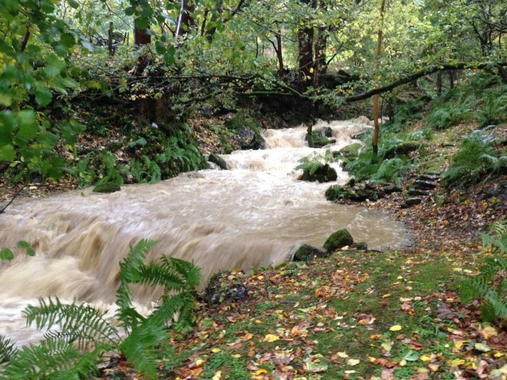 stream flood.jpg