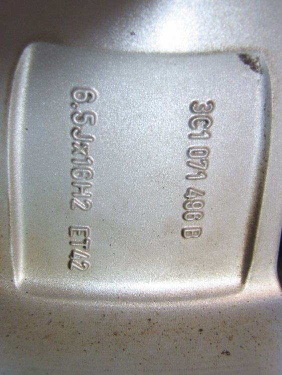 R0028331 (Custom).jpeg