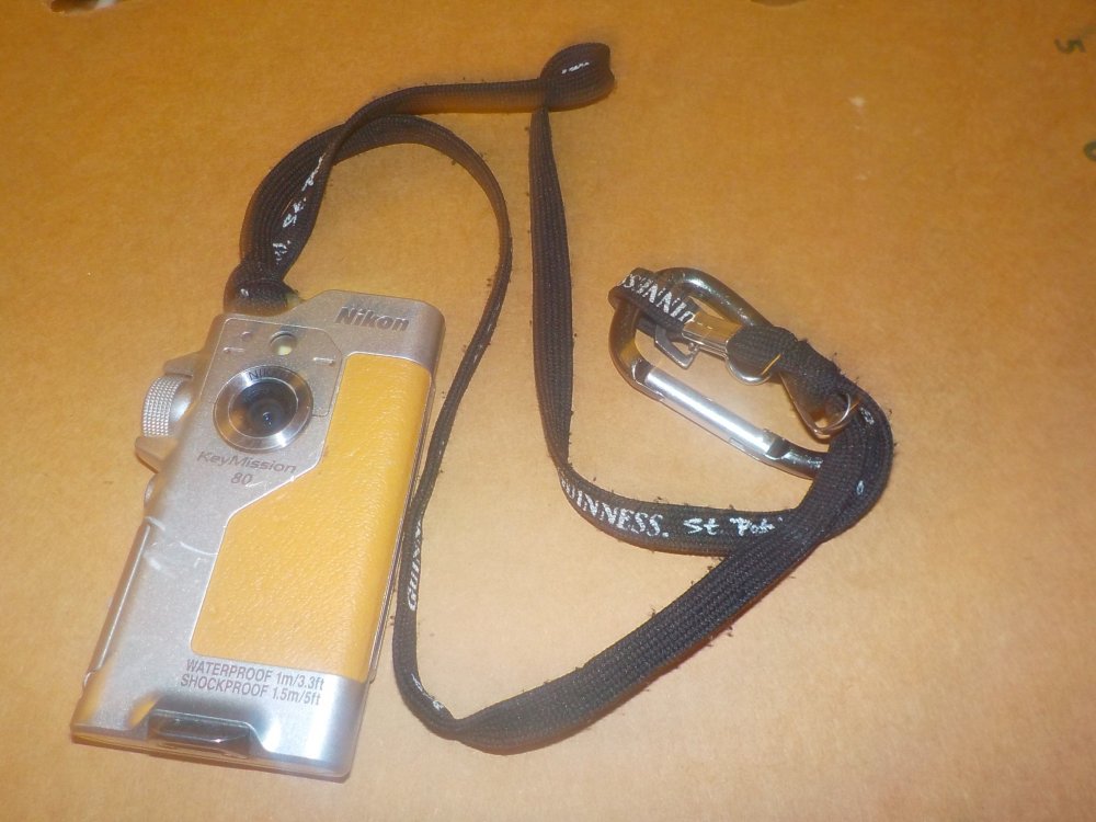 DSCN4425.JPG