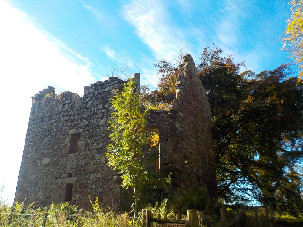 DSCN4447.JPG