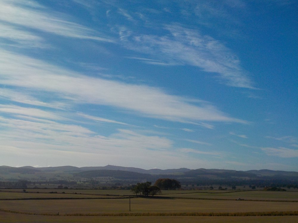 DSCN4452.JPG