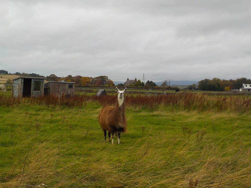 DSCN4492.JPG