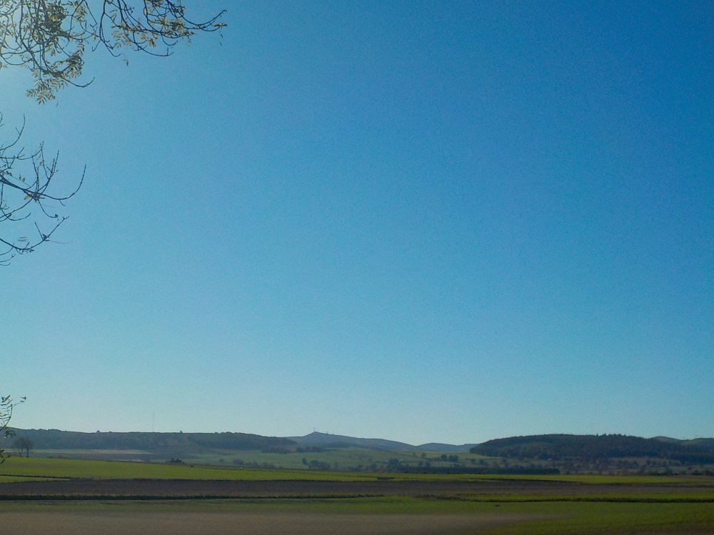 DSCN4504.JPG