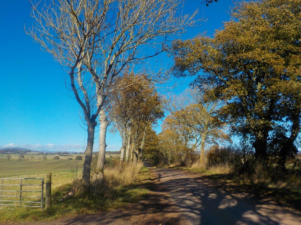 DSCN4516.JPG