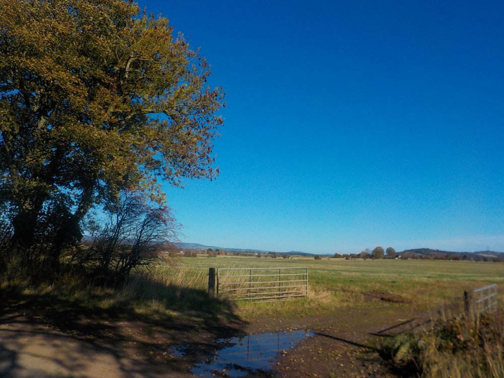 DSCN4518.JPG