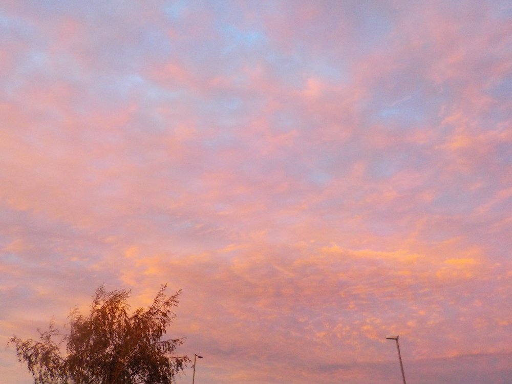 DSCN4561.JPG