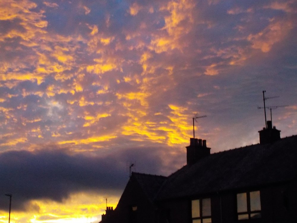 DSCN4563.JPG