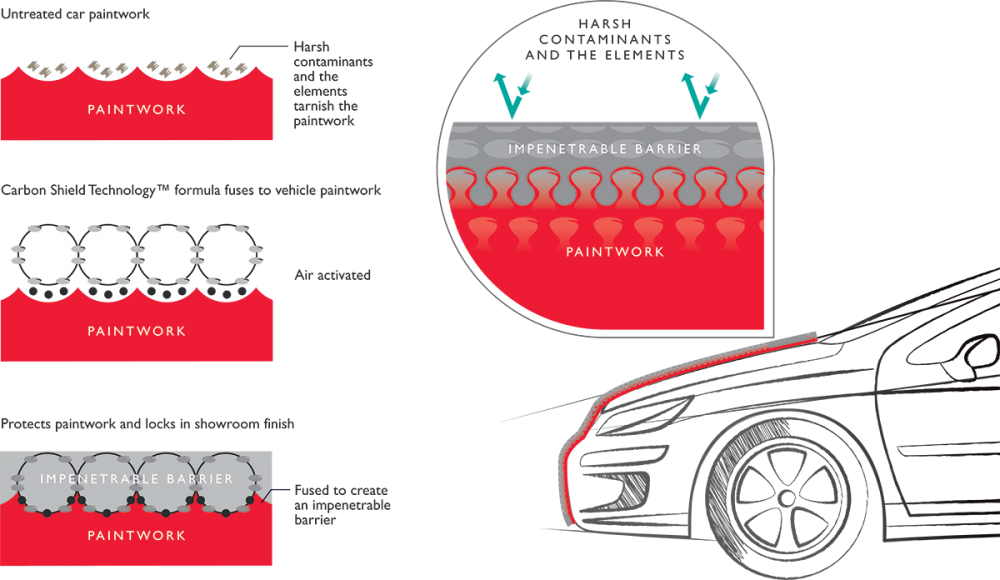 LifeShine-bodywork-graphic.thumb.png.1822a239a34a8cbadad14e5456d5b0d4.png