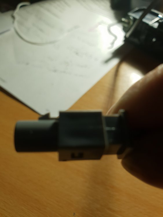 20181127_123229.jpg
