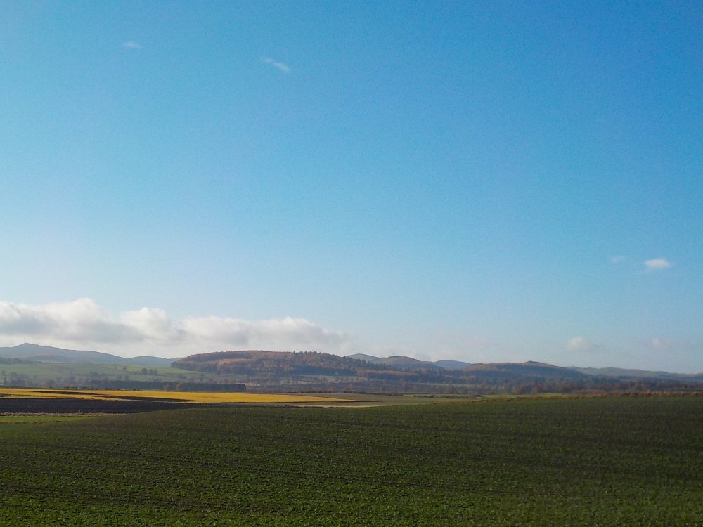 DSCN4646.JPG