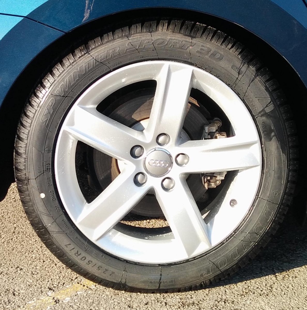 large.Wheel.jpg.04537065e5ea1f5754e18c3e0810a67d.jpg