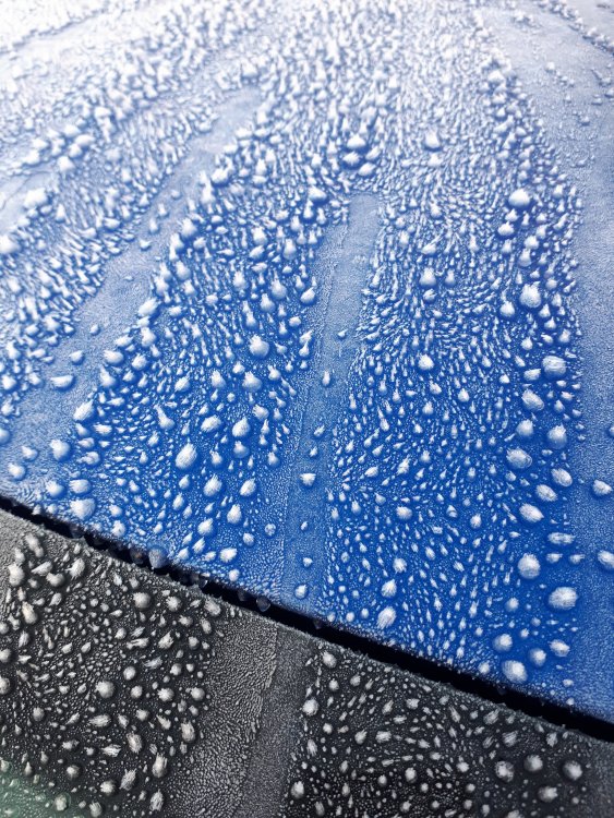 20181204_090316.jpg
