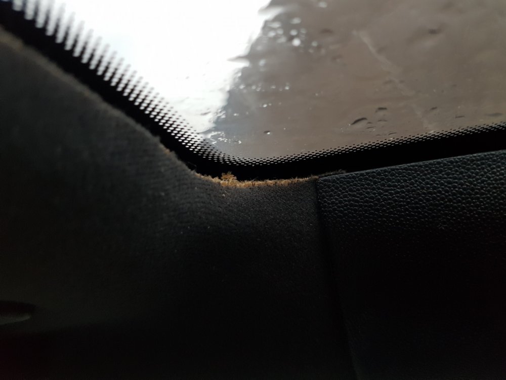 20181218_151133.thumb.jpg.9916c2ca8a9044fa632f8249f64534ad.jpg