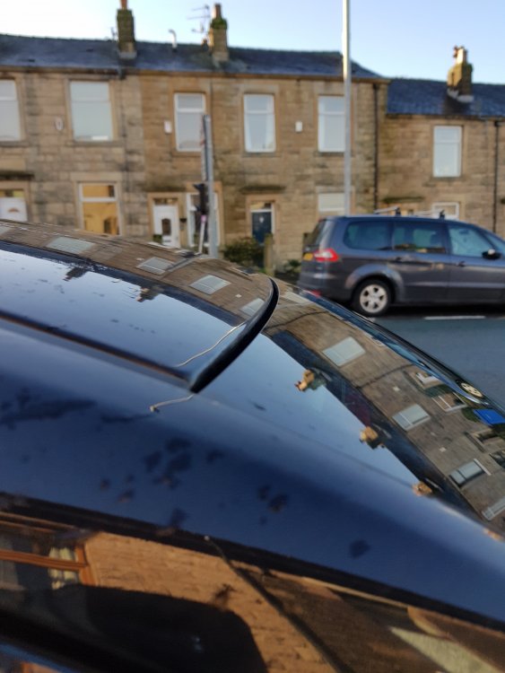 20181219_115336.jpg