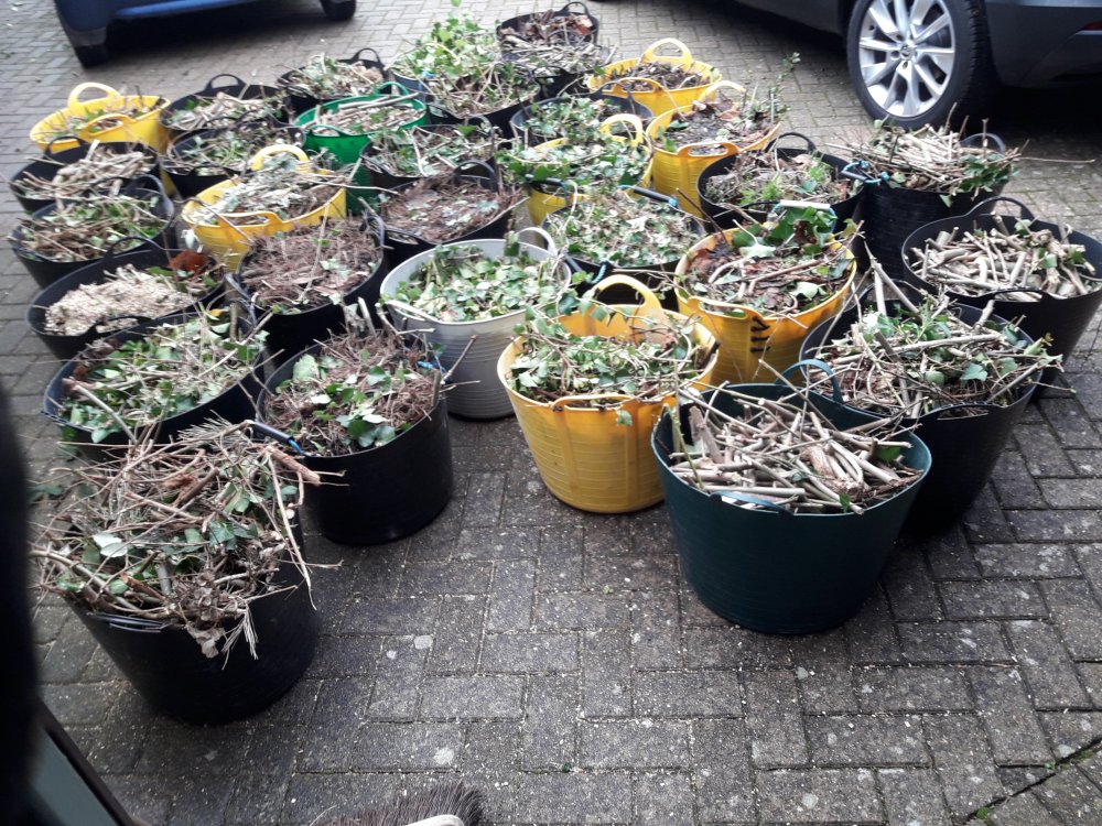 20181230_100312.jpg