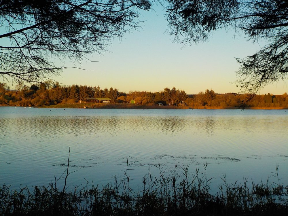 DSCN4729.JPG