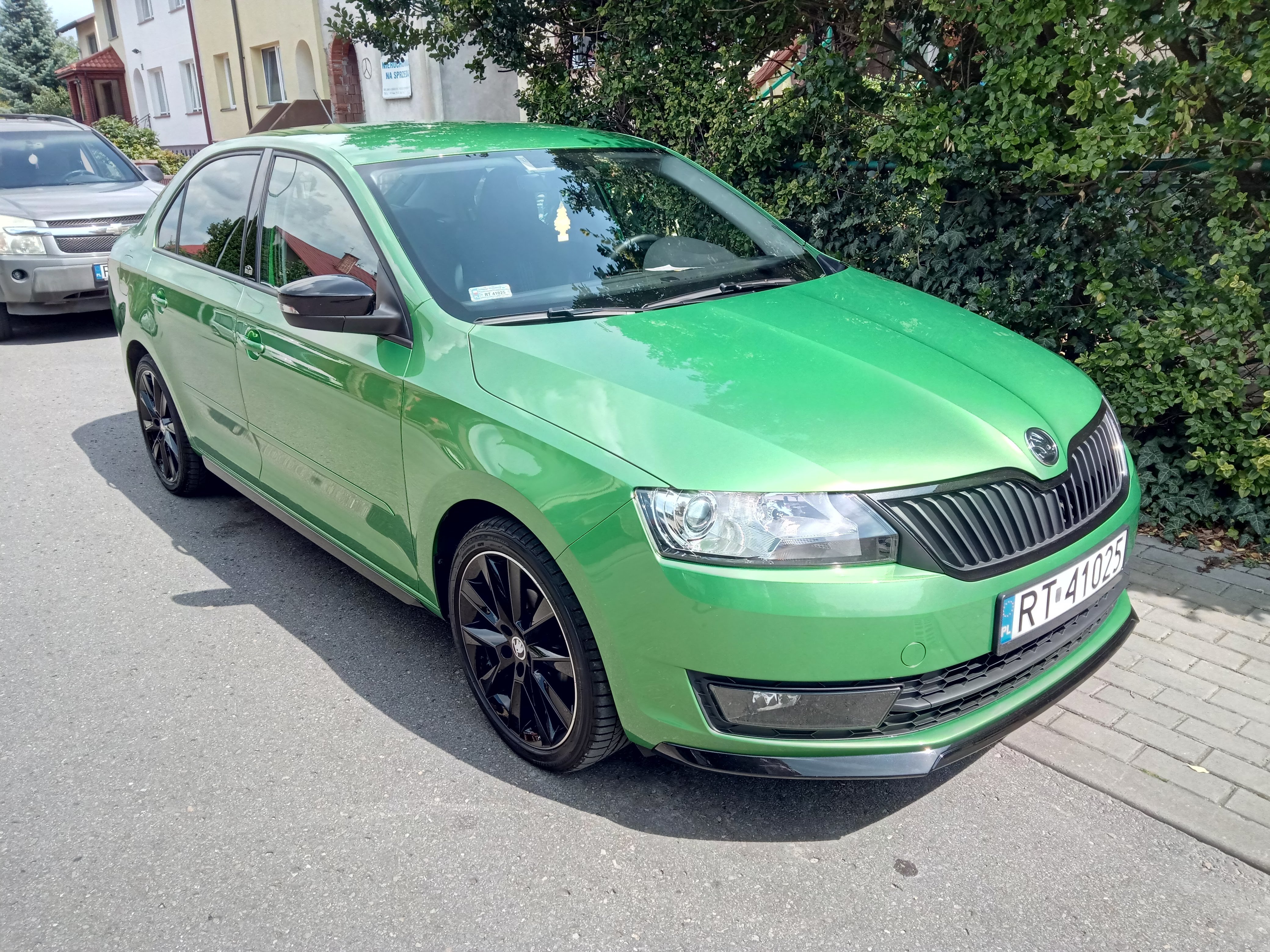 Shrek - The green Rapid