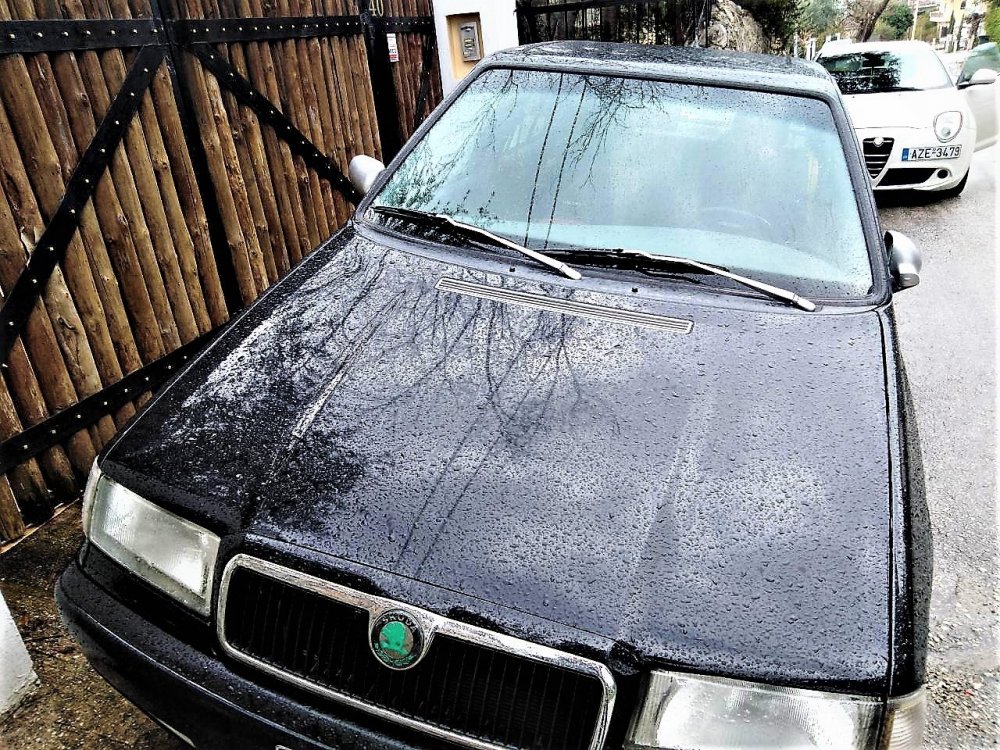 ESHETIC SKODA.jpg