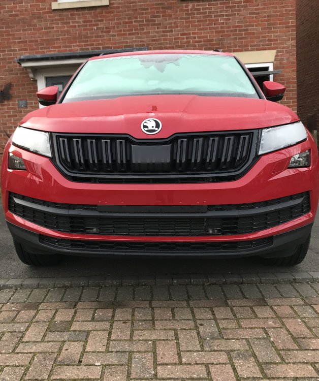 Skoda surround что это