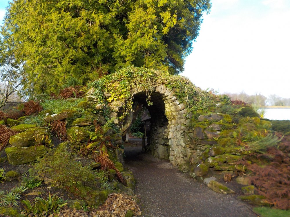 DSCN4788.JPG