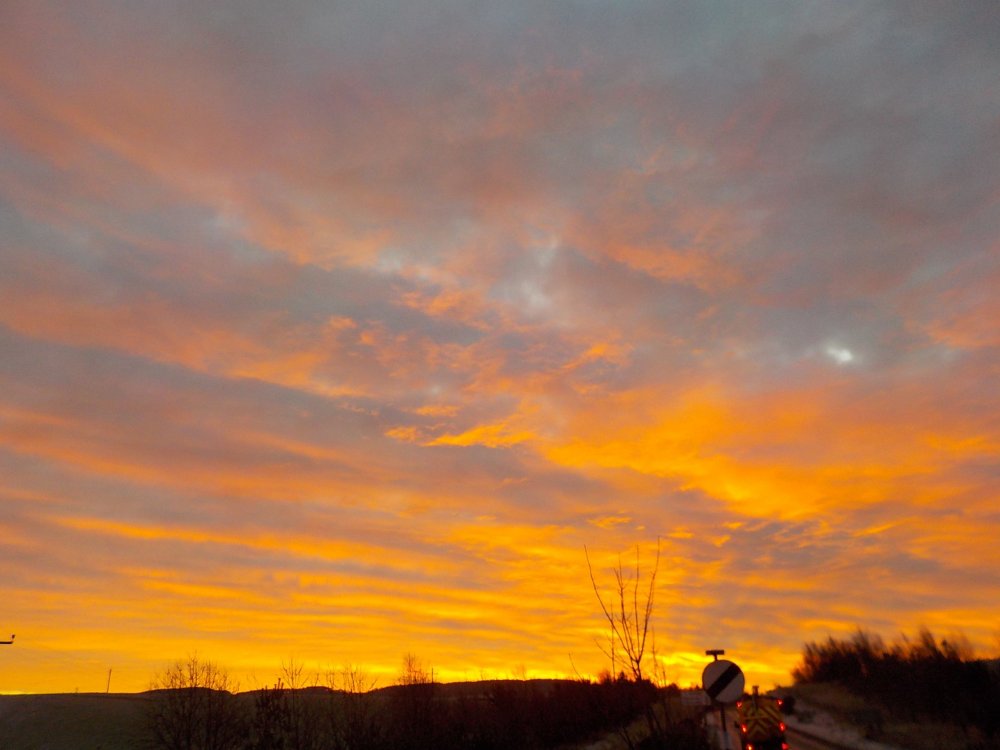 DSCN4851.JPG