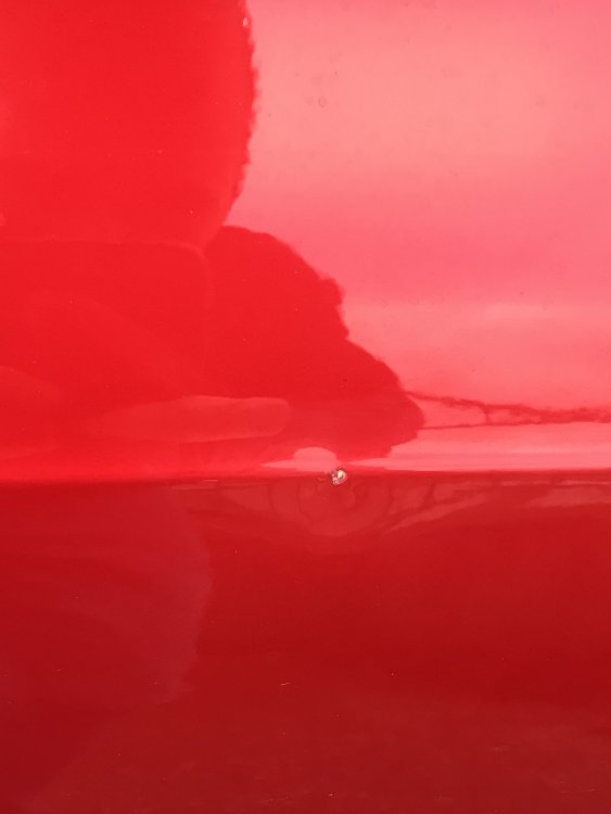 FC82511F-D18B-4E70-9BB6-2E94AB1A9EF9.jpeg