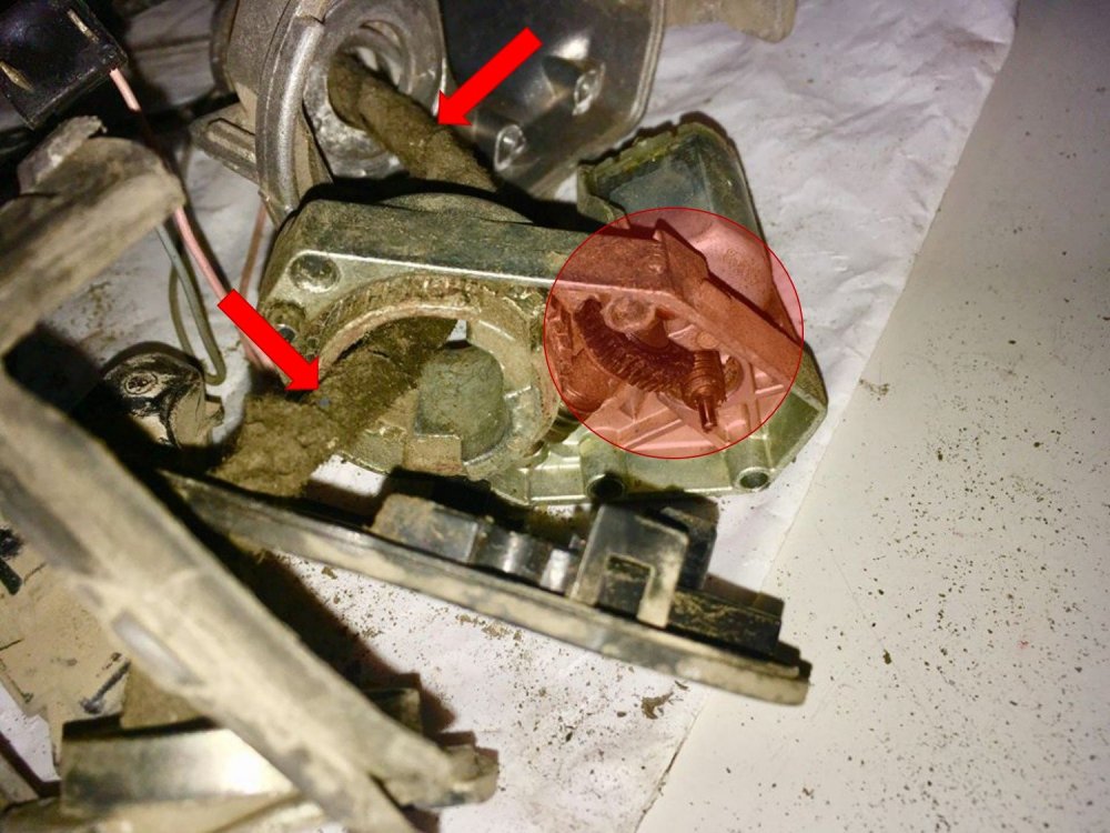 Picture2.jpg