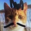 krisby