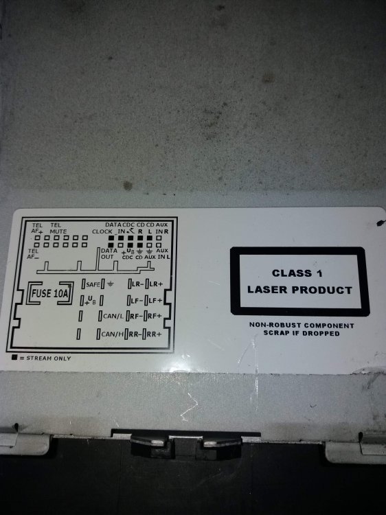 received_320461315235984.jpeg