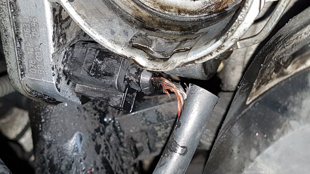Briskoda EGR plug.jpg