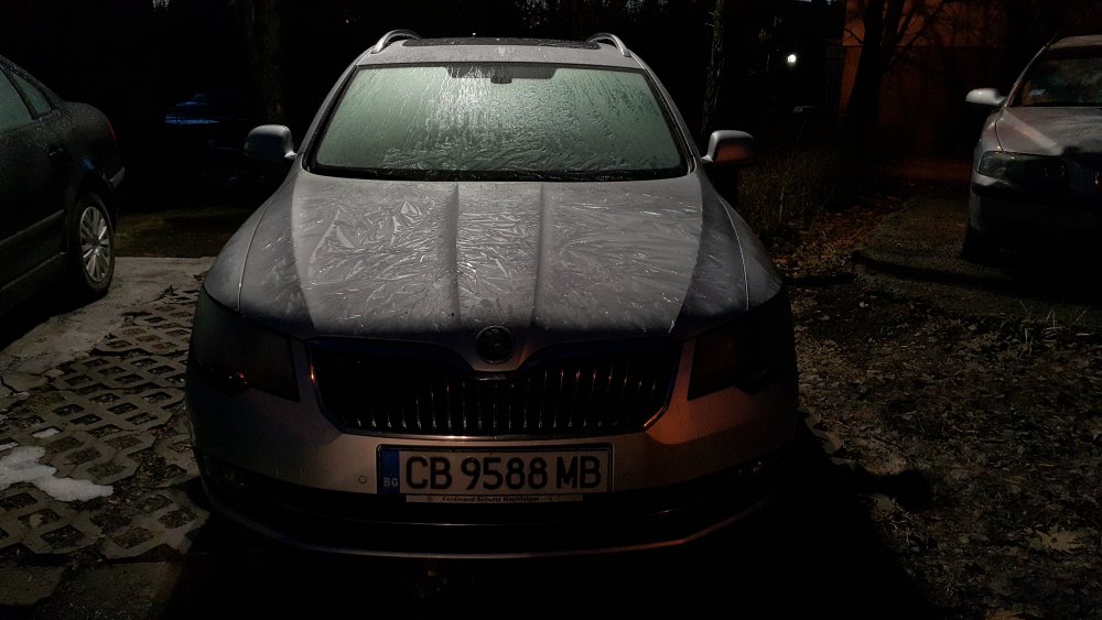 20190201_070711.jpg