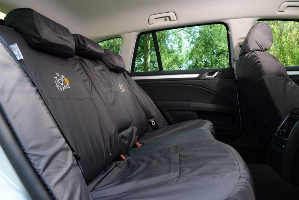 tdf backseat.jpg