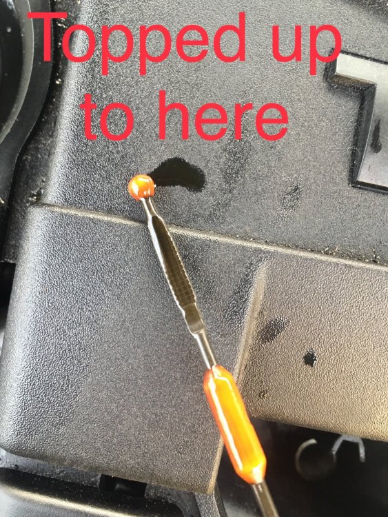 450CFA52-D3A2-434D-B15F-3ADA7ADF2125.jpeg