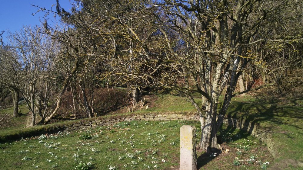 DSCN2637.JPG