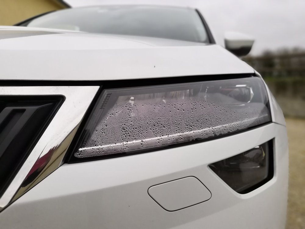 IMG_20190107_144656.jpg