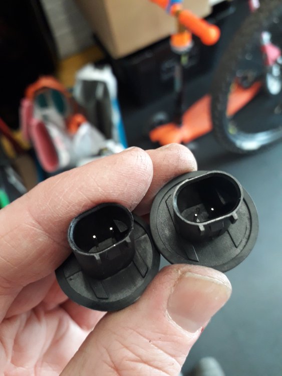 20190224_130707.thumb.jpg.776b99cbef1c333a336361cc2b4e9547.jpg
