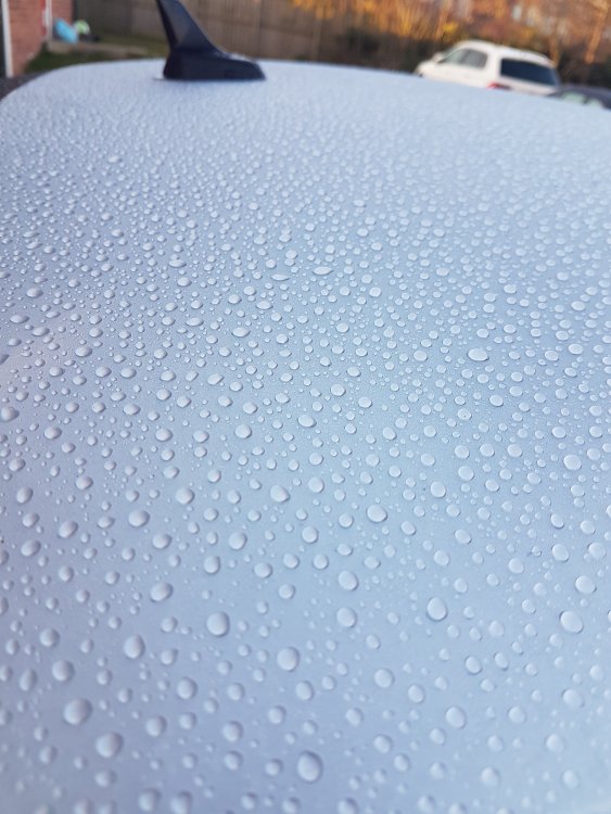 20190302_073506.jpg