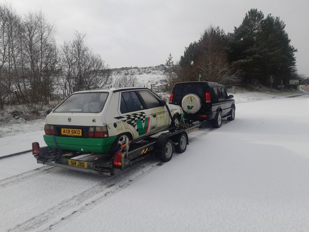 20190310_094329alt.jpg