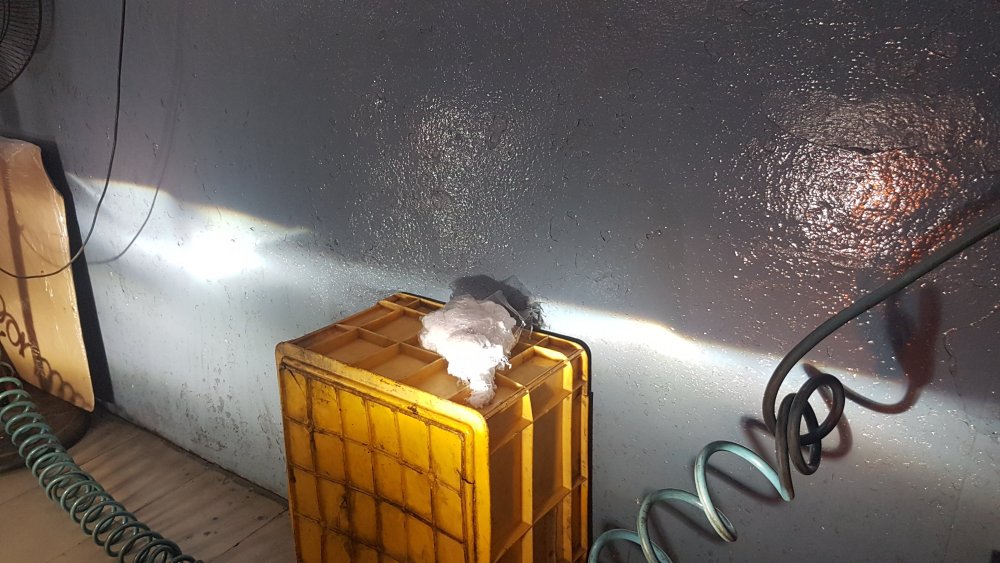 20190321_170616.jpg