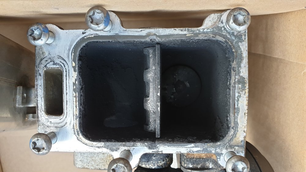 20190328_172105.jpg