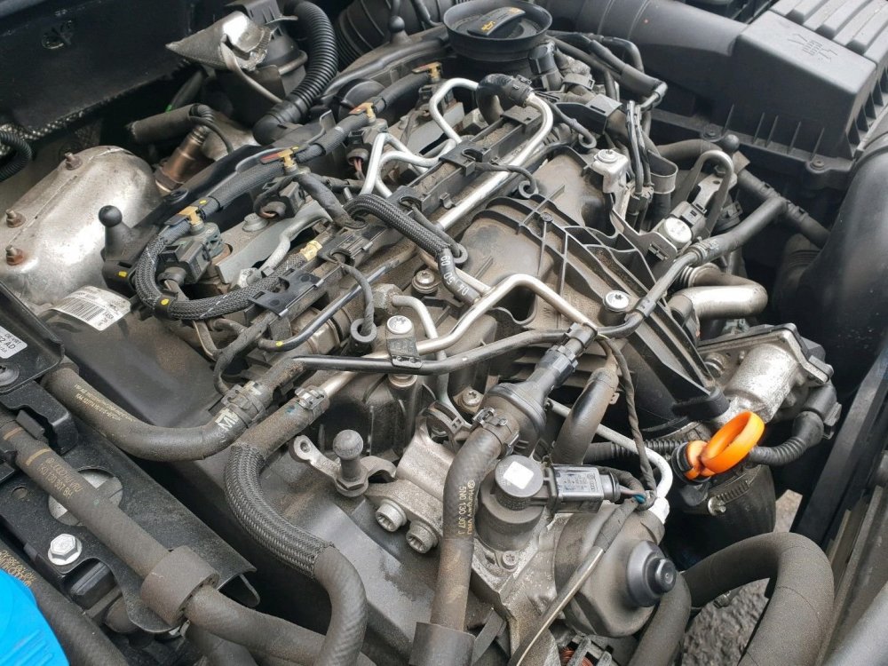 motor  ccff.jpg